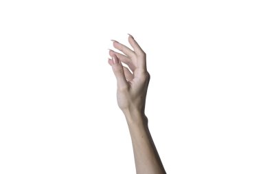 Eller beyaz arkaplanda izole edilmiş