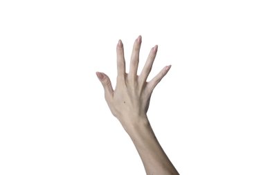 Eller beyaz arkaplanda izole edilmiş