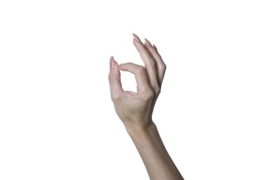 Eller beyaz arkaplanda izole edilmiş