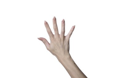 Eller beyaz arkaplanda izole edilmiş