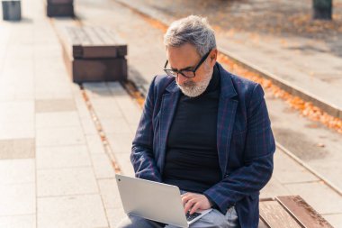 Modern stil sakallı, gri saçlı, olgun bir girişimci parktaki bir bankta oturuyor ve laptopuyla çalışıyor. Yüksek kalite fotoğraf