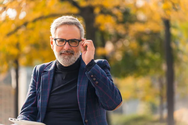 Modern and self-confident bearded grey-haired mature man entrepreneur in a suit and having eyeglasses on, sitting in the park with fall foliage, working on his laptop. High quality photo