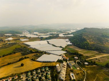 Türkiye 'nin Manavgat kentinde muz bitkilerinin büyüyen seralarının panoramik insansız hava aracı görüntüsü. Yüksek kalite fotoğraf