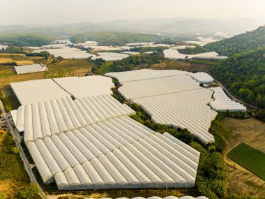 Manavgat, Antalya, Türkiye 'de muz bitkilerinin yetiştirildiği dev bir manzaranın panoramik drone görüntüsü. Yüksek kalite fotoğraf