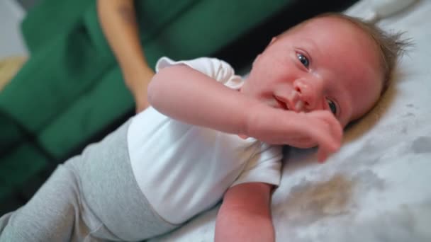 Niño Pequeño Curioso Bebé Caucásico Con Ropa Blanca Gris Mirando — Vídeos de Stock