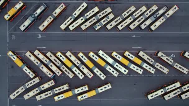 Numerosos Treinadores Ônibus Terminal Ônibus Estacionados Lado Outro Criando Padrão — Vídeo de Stock