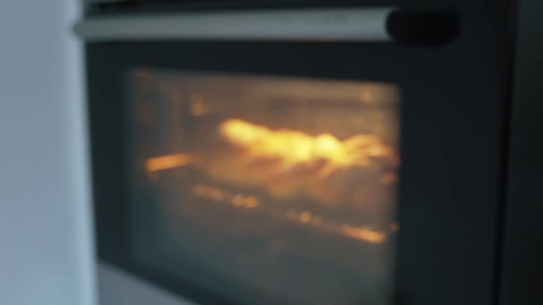 Yummy Baru Dipanggang Emas Coklat Yahudi Challah Dalam Oven Proses — Stok Video