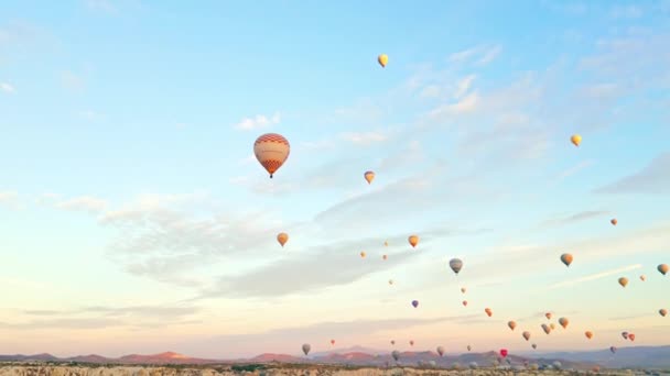 Imagini Superbe Zeci Baloane Colorate Aer Care Zboară Deasupra Peisajului — Videoclip de stoc