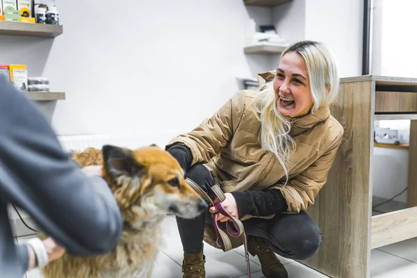 Hund Hälsoundersökning Med Sin Kvinnliga Ägare Veterinärklinik Högkvalitativt Foto — Stockfoto