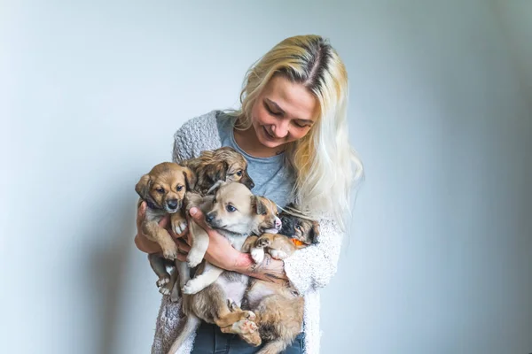 腕に5匹の交配種のホームレスの子犬を抱えている幸せな若い大人の白人女性 仮設住宅のコンセプト 養子縁組の犬 高品質の写真 — ストック写真
