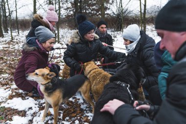 Gönüllü çalışmada mutluluk. Barınak köpekleri ile kış yürüyüşü yaparken bir grup gönüllüyü açık havada çekmek. Arka planda orman var. Yüksek kalite fotoğraf