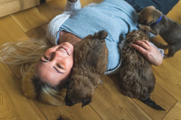 小さな子犬と遊ぶ一時家庭の女性ボランティア 高品質の写真 — ストック写真