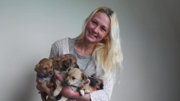 Woman Volunteer Holding Big Group Little Puppies High Quality Footage — Stock Video