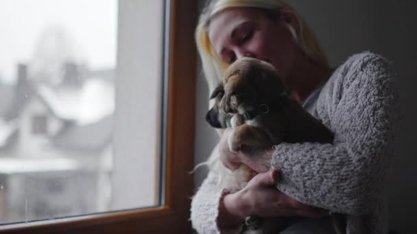 Mujer Voluntaria Casa Temporal Sosteniendo Dos Cachorritos Imágenes Alta Calidad — Vídeo de stock