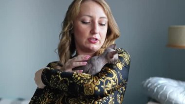 Woman hugging little Devon Rex kitten in hands. High quality 4k footage