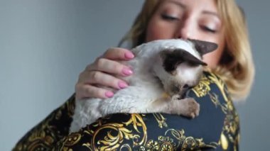 Woman hugging little Devon Rex kitten in hands. High quality 4k footage