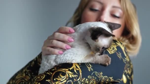 Woman Hugging Little Devon Rex Kitten Hands High Quality Footage — Stok video