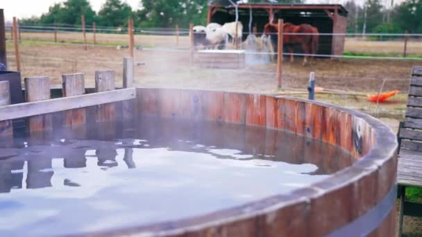 Barrel Water Starts Evaporate Steam Rises Background See Horses High — Wideo stockowe