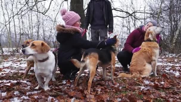 Group Volunteers Walking Out Shelter Dogs High Quality Footage — Vídeo de stock
