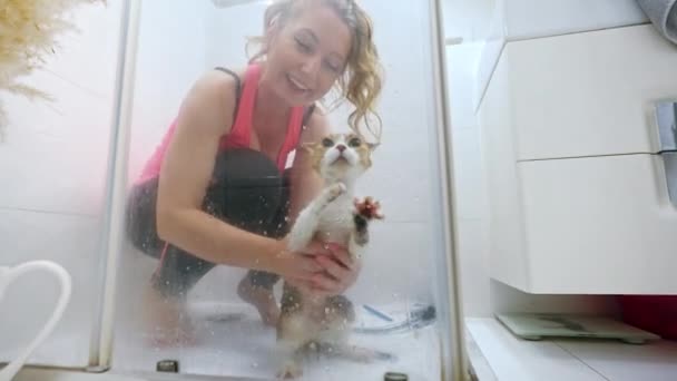 Woman Washing Cat Devon Rex Pedigree Shower High Quality Footage — Stockvideo