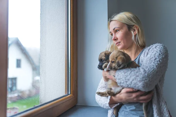 Confident woman holding a bunch of dog puppies in front of the window. High quality photo