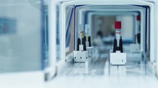 Healthcare Medicine Concept Look Automated Lab Line Test Tubes Moving — Vídeo de Stock