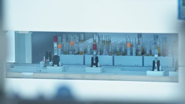 Long Shot Test Tubes Moving Line Automated Lab Test Tubes — Video Stock