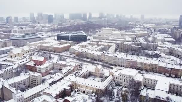 Zdjęcie Lotnicze Domów Zimie Koncepcja Zimowego Miasta Szare Niebo Koncepcja — Wideo stockowe