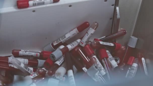 Próbki Krwi Pobierane Badania Przez Automatyczną Maszynę Zamazany Pierwszy Plan — Wideo stockowe