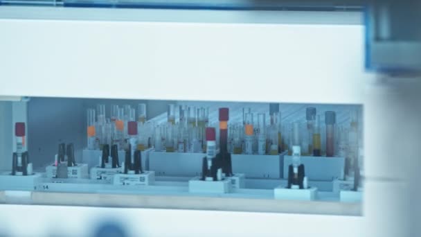 Automated Lab Line Moving Circle Both Test Tubes Empty Holders — Stockvideo