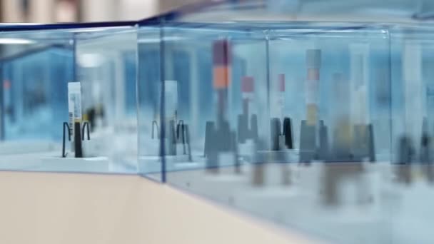 Mange Reagensglas Bevæger Sig Rundt Forskellige Retninger Automatiseret Laboratorieglasslinje Laboratoriekoncept – Stock-video
