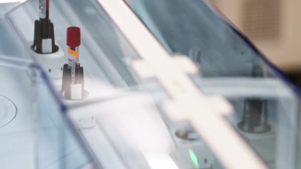 Laboratuvarlarda Hareket Eden Iki Kan Örneği Var Planda Bulanıklık Yüksek — Stok video