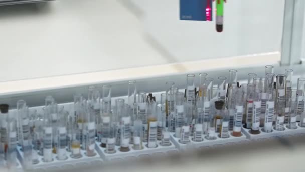 自動機械により血液サンプルを試験管ホルダーに入れます 背景がぼやけている 高品質4K映像 — ストック動画
