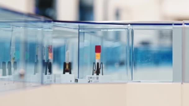 Blood Samples Empty Test Tubes Test Tubes Holders Moving Laboratorys — ストック動画