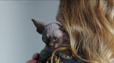 Devon Rex 'in yavru kedisini göğsüne dayayan bir kadının arka görüntüsü. Yüksek kalite 4k görüntü