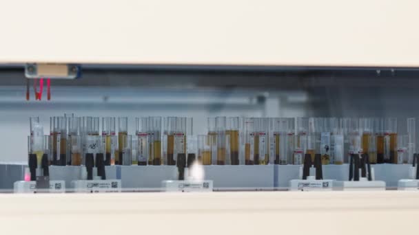 Plan Complet Une Machine Automatique Ramassant Plaçant Échantillon Sang Sur — Video