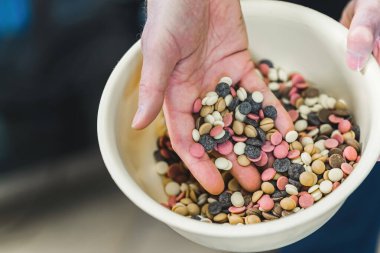 Male hand mixing white, ruby, dark chocolate callets in a bowl. High quality photo