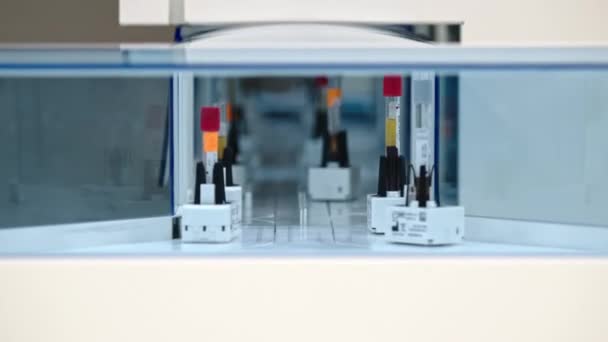 Shot Automated Lab Glazed Line Test Tubes Moving Automatic Holders — Vídeo de stock
