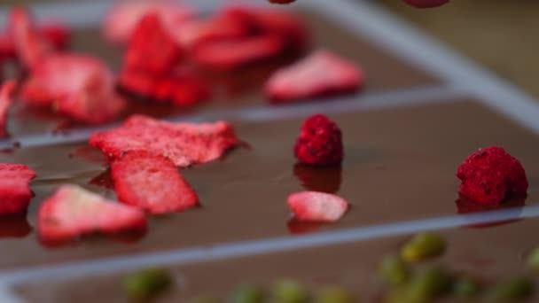 Närbild Frystorkade Hallon Placeras Form Fylld Med Smält Choklad Chokladtillverkning — Stockvideo