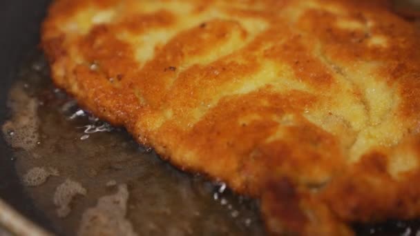 黄金脆皮沙博伊科泰油炸在一个不粘的平底锅波兰猪肉面包片 波兰传统烹饪 — 图库视频影像