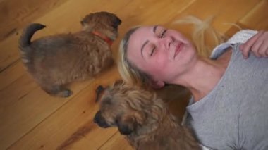 Genç bir kadın tahta bir zeminde üzerine atlayan sevimli yavru köpeklerle yatıyor. Köpek barınağı. Yüksek kalite 4k görüntü