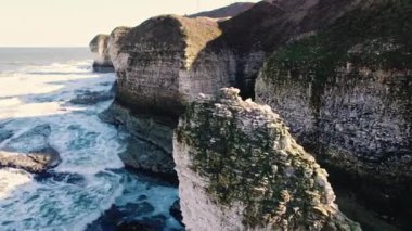 Flamborough Head 'deki Doğu Costline' ın beyaz kayaları. Yüksek kalite 4k görüntü