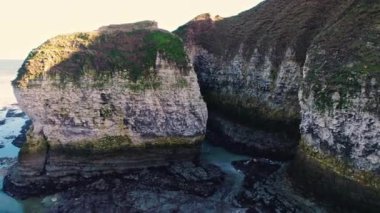 Flamborough Head, İngiltere 'de çok güzel bir doğal rezerv. Yüksek kalite 4k görüntü