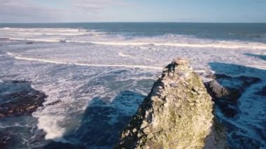 Flamborough Head - İngiltere 'de güzel bir seyahat yeri. Yüksek kalite 4k görüntü