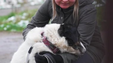 Siyah beyaz bir Tilki Terrier köpeğini kucaklayan genç bir kadın ipini tutuyor. Köpek barınağı. Yüksek kalite 4k görüntü