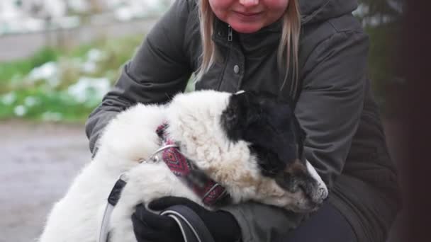 Jonge Vrouw Omarmt Een Zwart Witte Fox Terrier Hond Buiten — Stockvideo