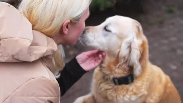 Mulher Arranhando Golden Retriever Cabeça Cão Enquanto Segurando Suas Patas — Vídeo de Stock