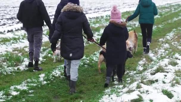 雪に覆われた芝生の美しい森の中で散歩のために犬を取る犬の避難所労働者のグループのバックビュー 犬の首ベルトを持っている 高品質4K映像 — ストック動画