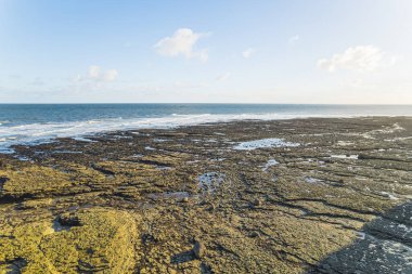 Flamborough Head plajı. Kuzey Landing plajı. Çok güzel kum, beyaz çakıl taşları ve kaya havuzları. Yüksek kalite fotoğraf