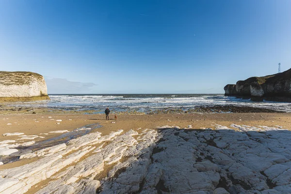 Güneşli bir günde Flamborough Head 'in güzel sahillerinde yürüyen bir adamın çarpıcı manzarası. Yüksek kalite fotoğraf